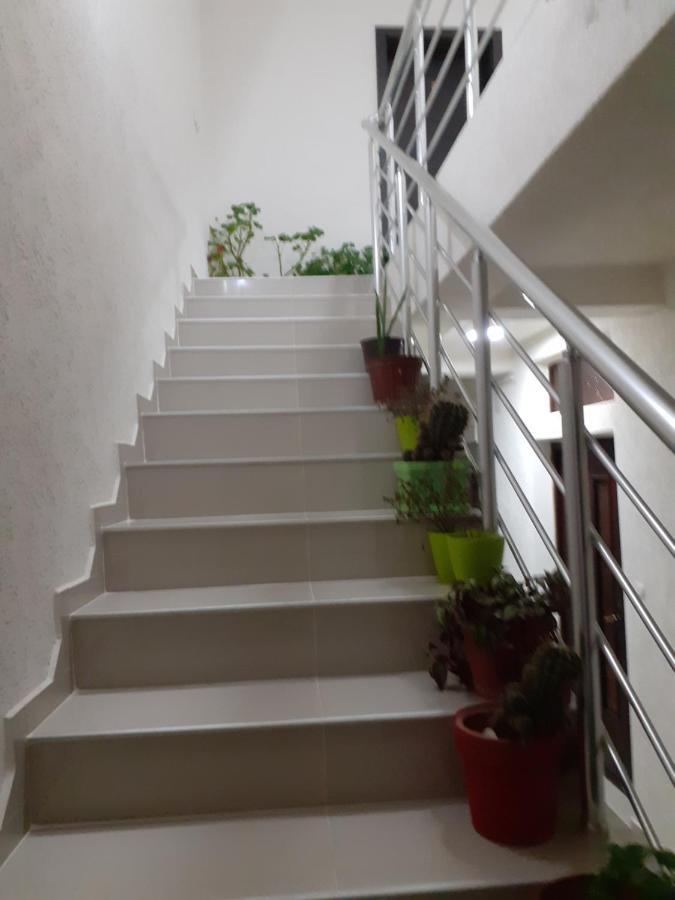 Apartments Filemi Ohrid Exterior foto